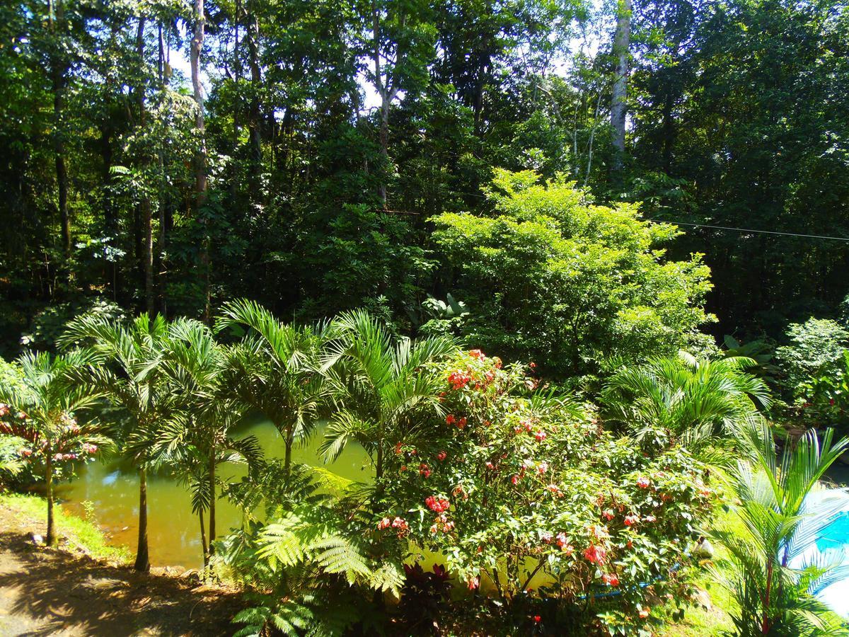 Hotel Valle Azul San Gerardo Rom bilde