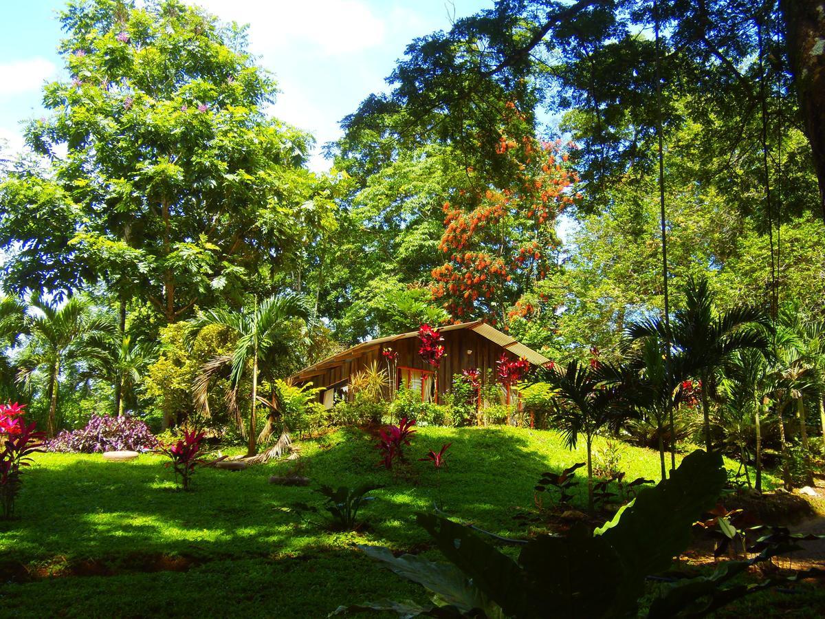 Hotel Valle Azul San Gerardo Rom bilde