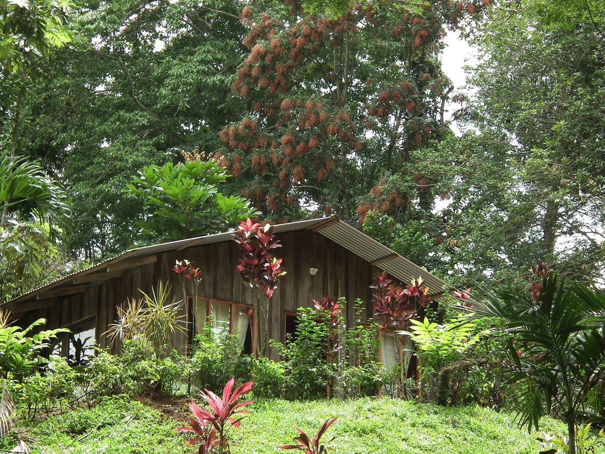 Hotel Valle Azul San Gerardo Rom bilde