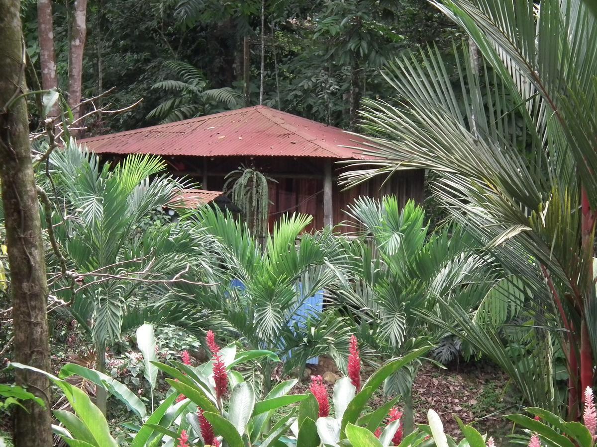 Hotel Valle Azul San Gerardo Rom bilde