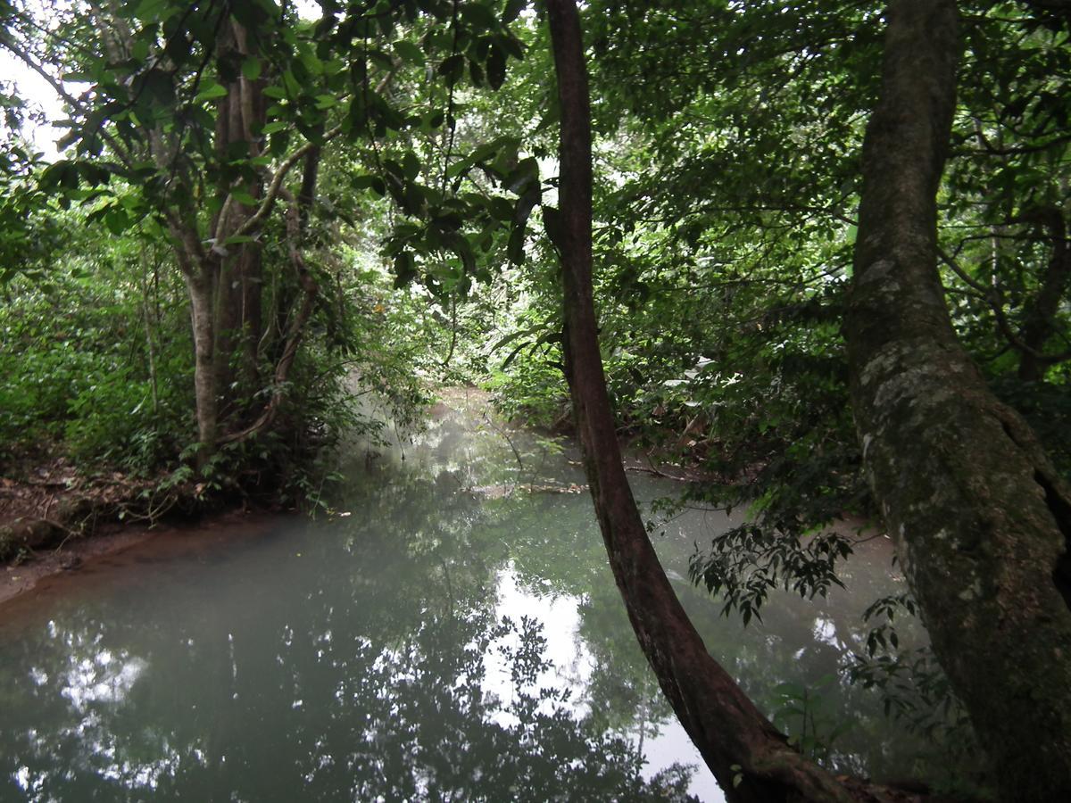 Hotel Valle Azul San Gerardo Rom bilde