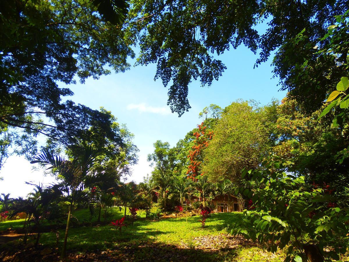 Hotel Valle Azul San Gerardo Rom bilde