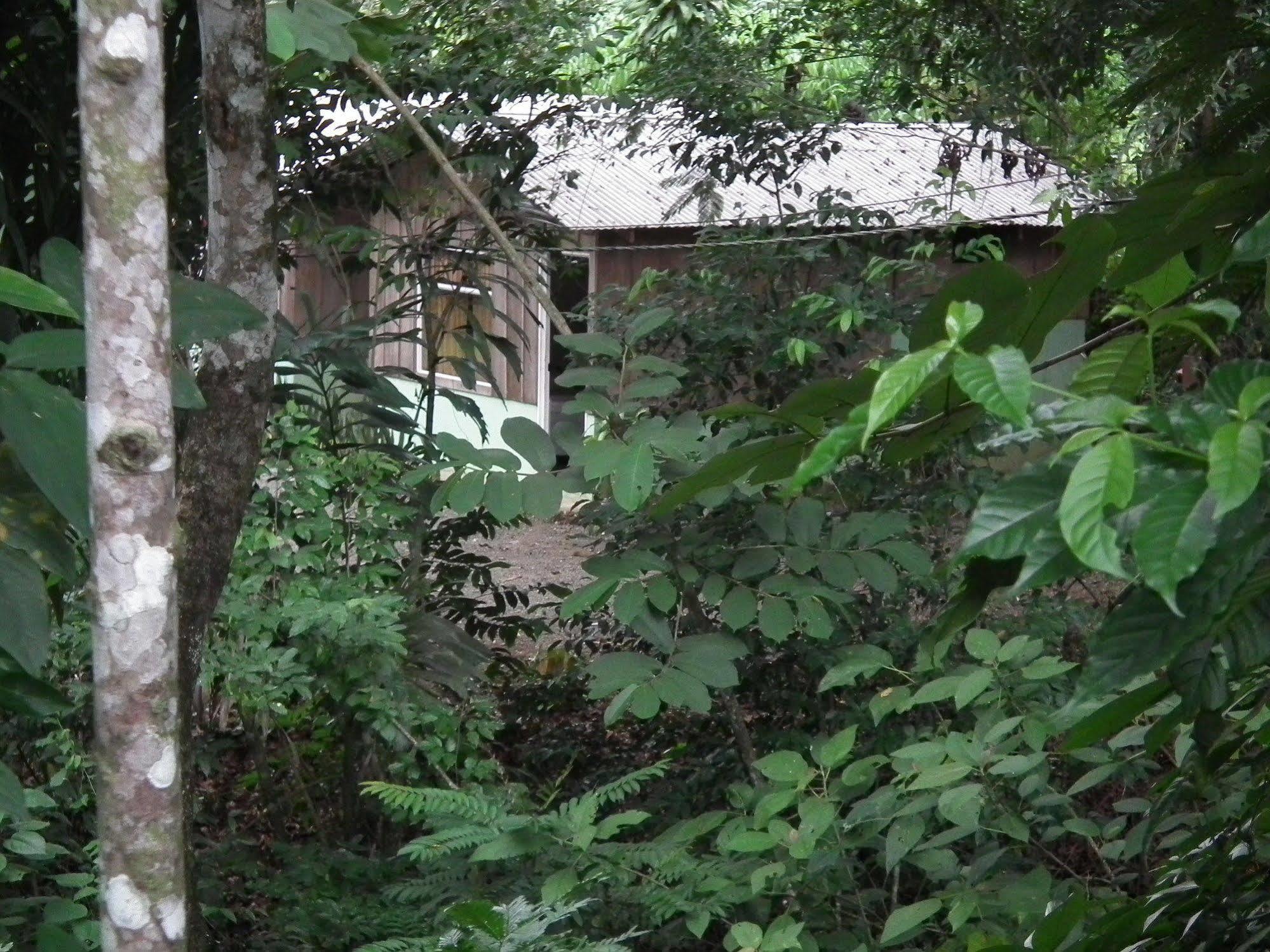 Hotel Valle Azul San Gerardo Eksteriør bilde