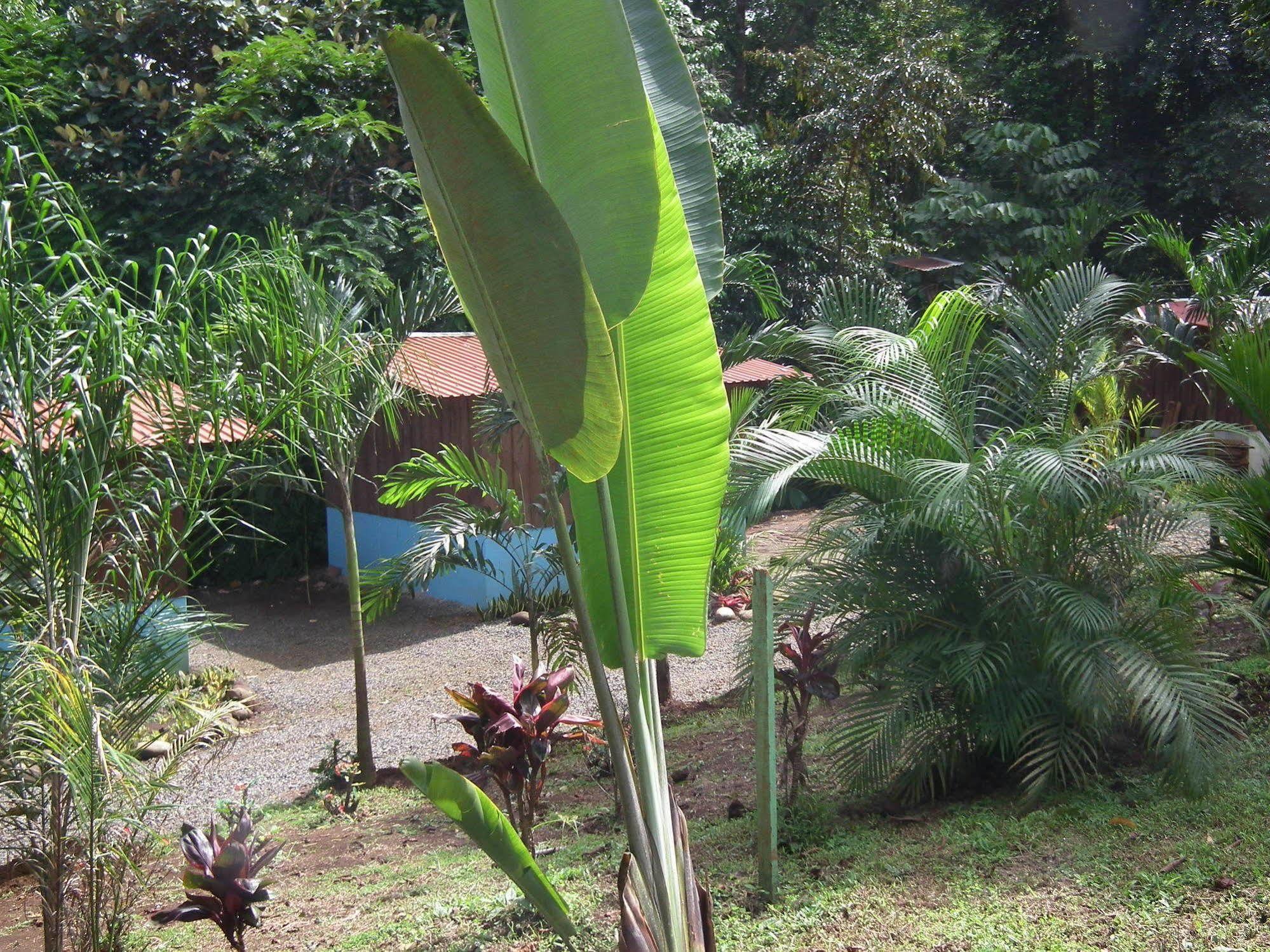 Hotel Valle Azul San Gerardo Eksteriør bilde