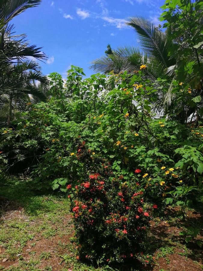 Hotel Valle Azul San Gerardo Eksteriør bilde