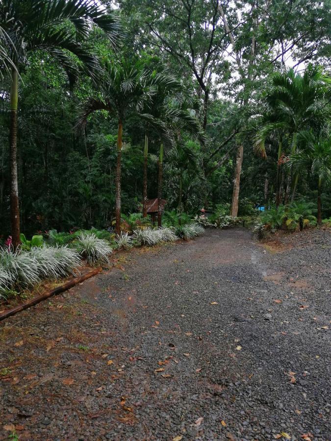 Hotel Valle Azul San Gerardo Eksteriør bilde